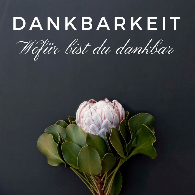 Image result for dankbar